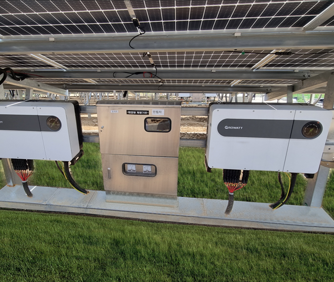 古瑞瓦特，让贫瘠之地洒满“绿光”