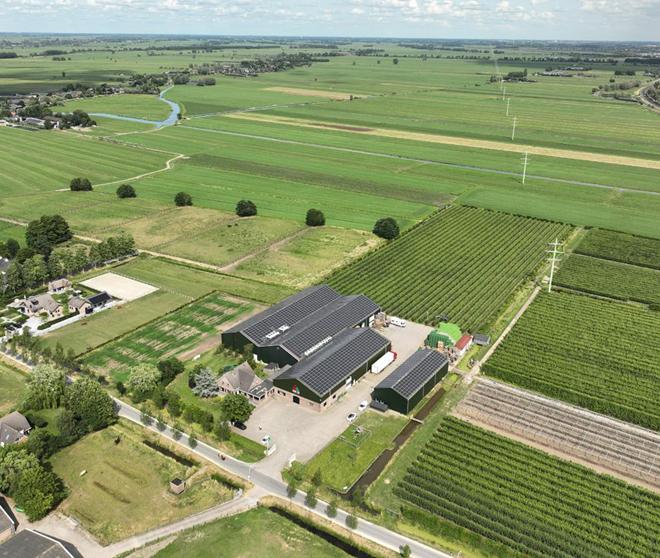 【古瑞瓦特】绿电走世界|荷兰水果种植农场光伏电站