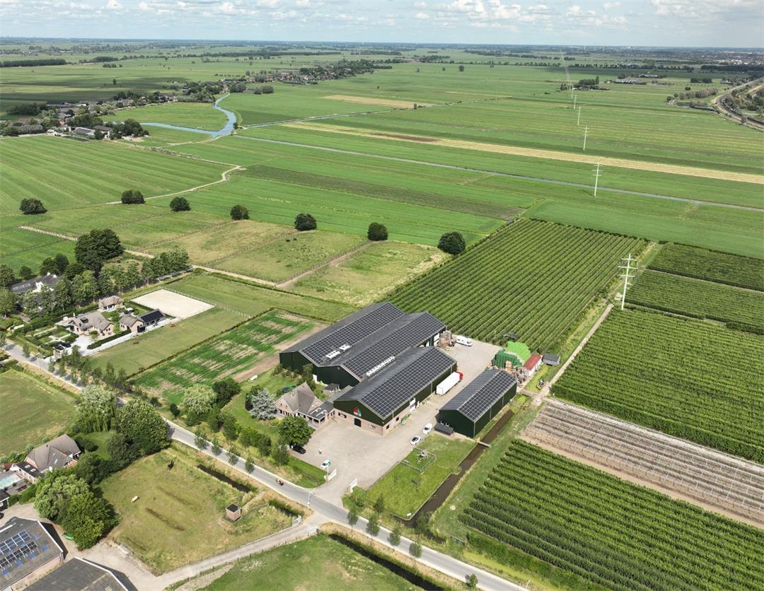 【古瑞瓦特光伏逆变器】绿电走世界|荷兰水果种植农场电站