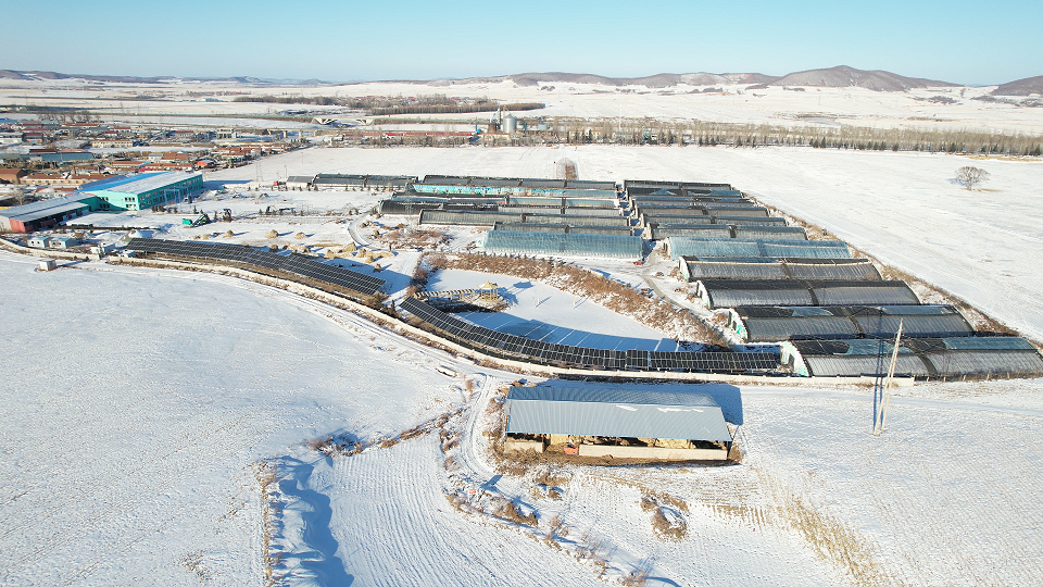 七年风雪——记一座古瑞瓦特七年老光伏电站