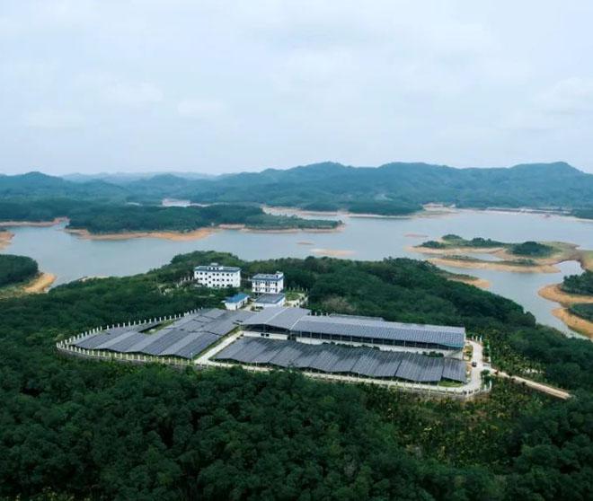 【古瑞瓦特组串式逆变器解决方案】深山林场中的自来水厂电站