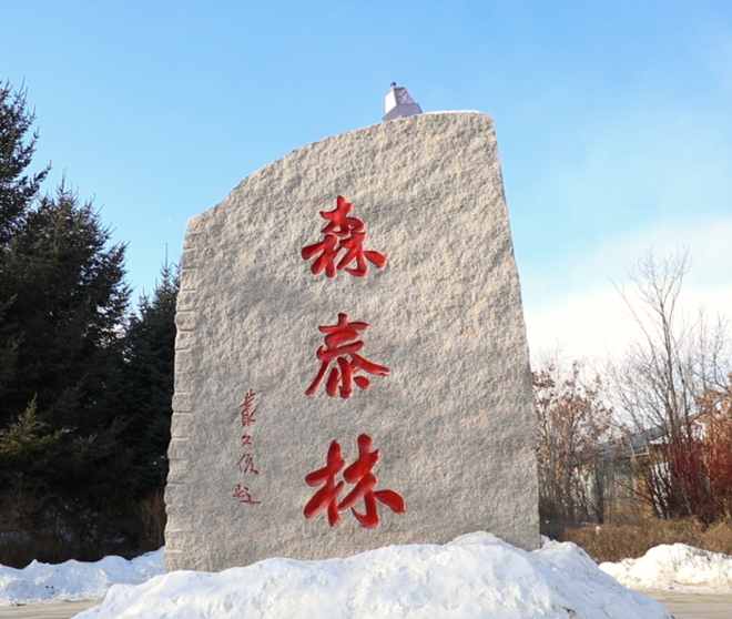 古瑞瓦特助力森泰木业实现零碳绿色未来