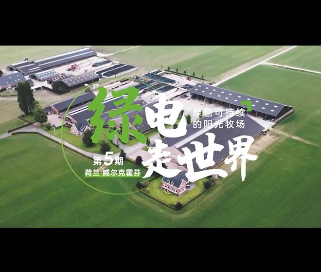 【古瑞瓦特储能逆变器】绿电走世界 | 荷兰绿色可持续的阳光牧场